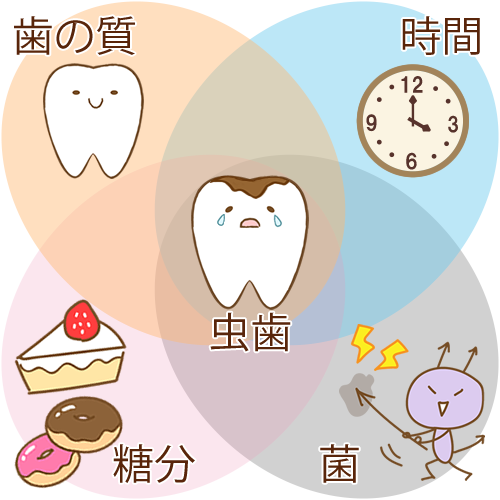 当院の予防歯科