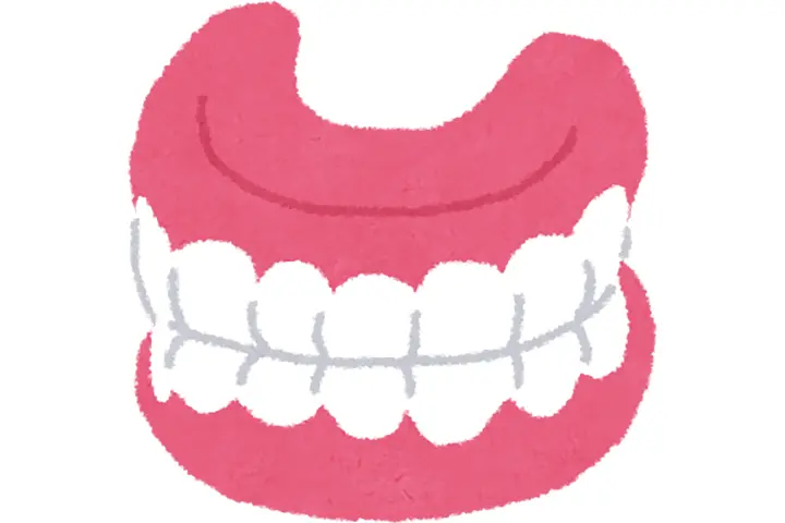 入れ歯作成、調整