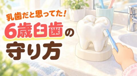 6歳臼歯の守り方。大きな奥歯の模型を子どもが歯ブラシで磨いているイラスト