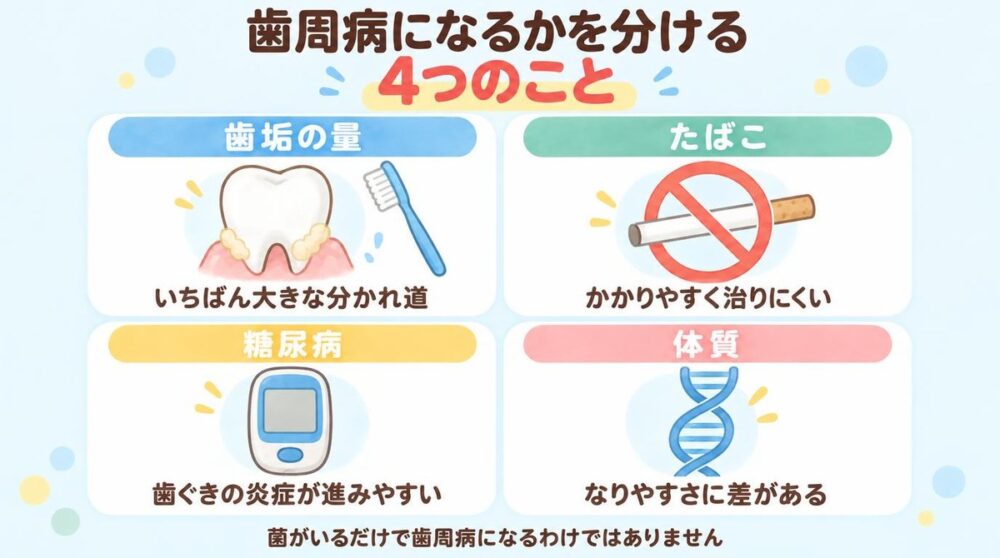 歯周病になるかを分ける4つのこと(歯垢の量・たばこ・糖尿病・体質)の図