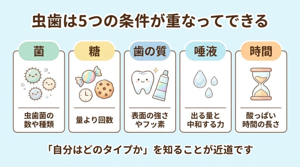 虫歯は5つの条件が重なってできる。菌、糖、歯の質、唾液、時間