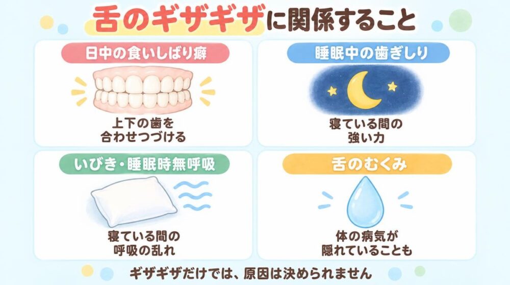 舌のギザギザに関係すること。日中の食いしばり癖、睡眠中の歯ぎしり、いびき・睡眠時無呼吸、舌のむくみの4つを並べた図